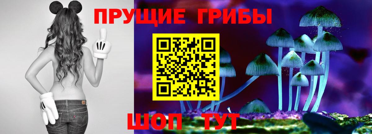 Галлюциногенные грибы Magic Shrooms  Вход с VPN  где купить наркоту  Сальск 